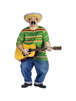 Adult Plus Size Mexican Serape And Hat Costume