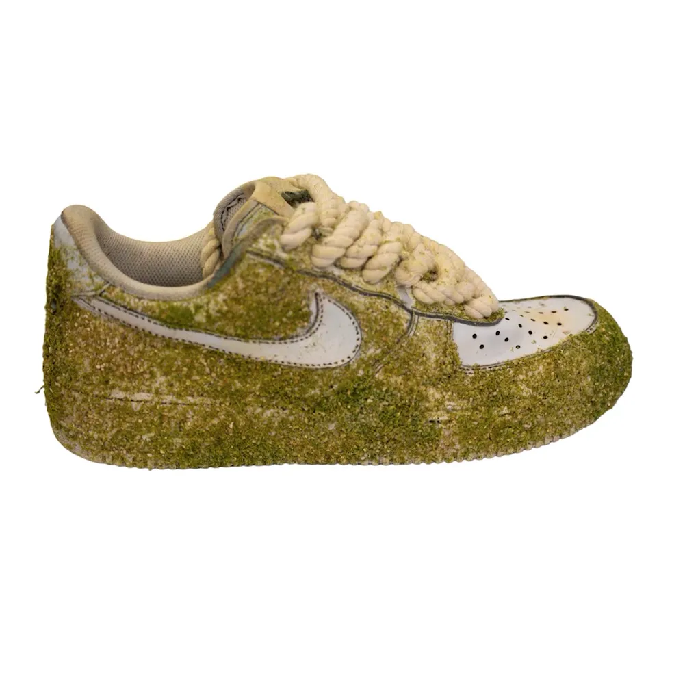 Sneaker Planter (Air Force 1)